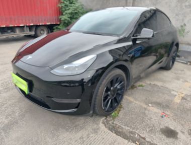 Tesla Model Y 2023 Tesla Model Y 2023 car image