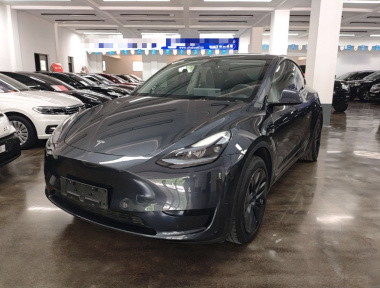 Tesla Model Y 2024 car image 
