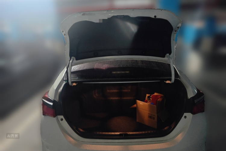 Toyota Corolla 2017 car image #21