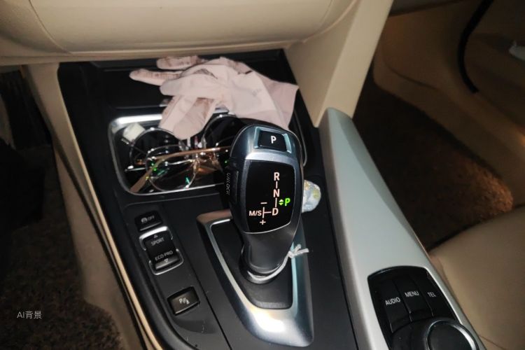 BMW 3 Series 2014 car image #16
