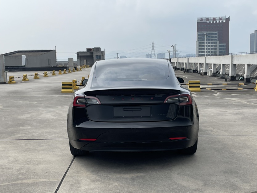 Tesla Model 3 2021 #6 Tesla Model 3 2021 car image #6