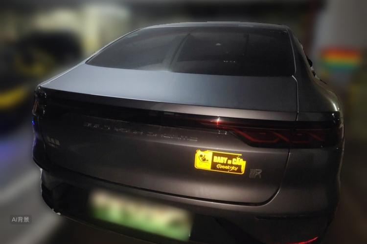 BYD Han 2022 car image #6