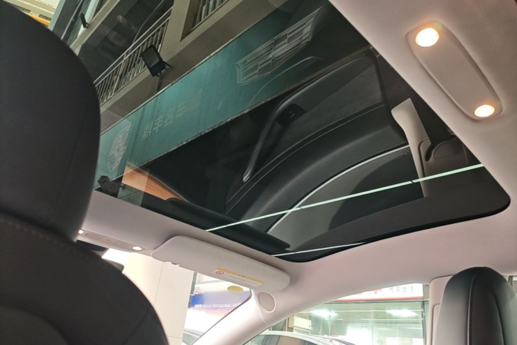 Tesla Model 3 2020 car image #18