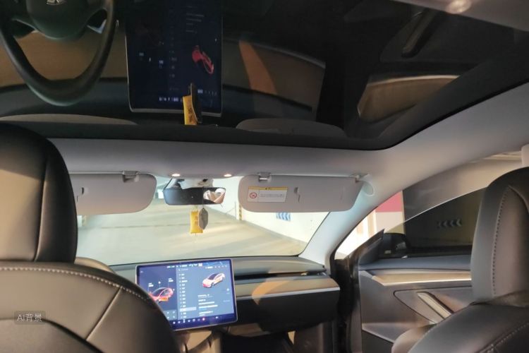 Tesla Model 3 2021 #20 Tesla Model 3 2021 car image #20