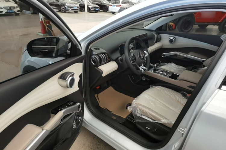BYD Yuan Plus 2024 car image #16