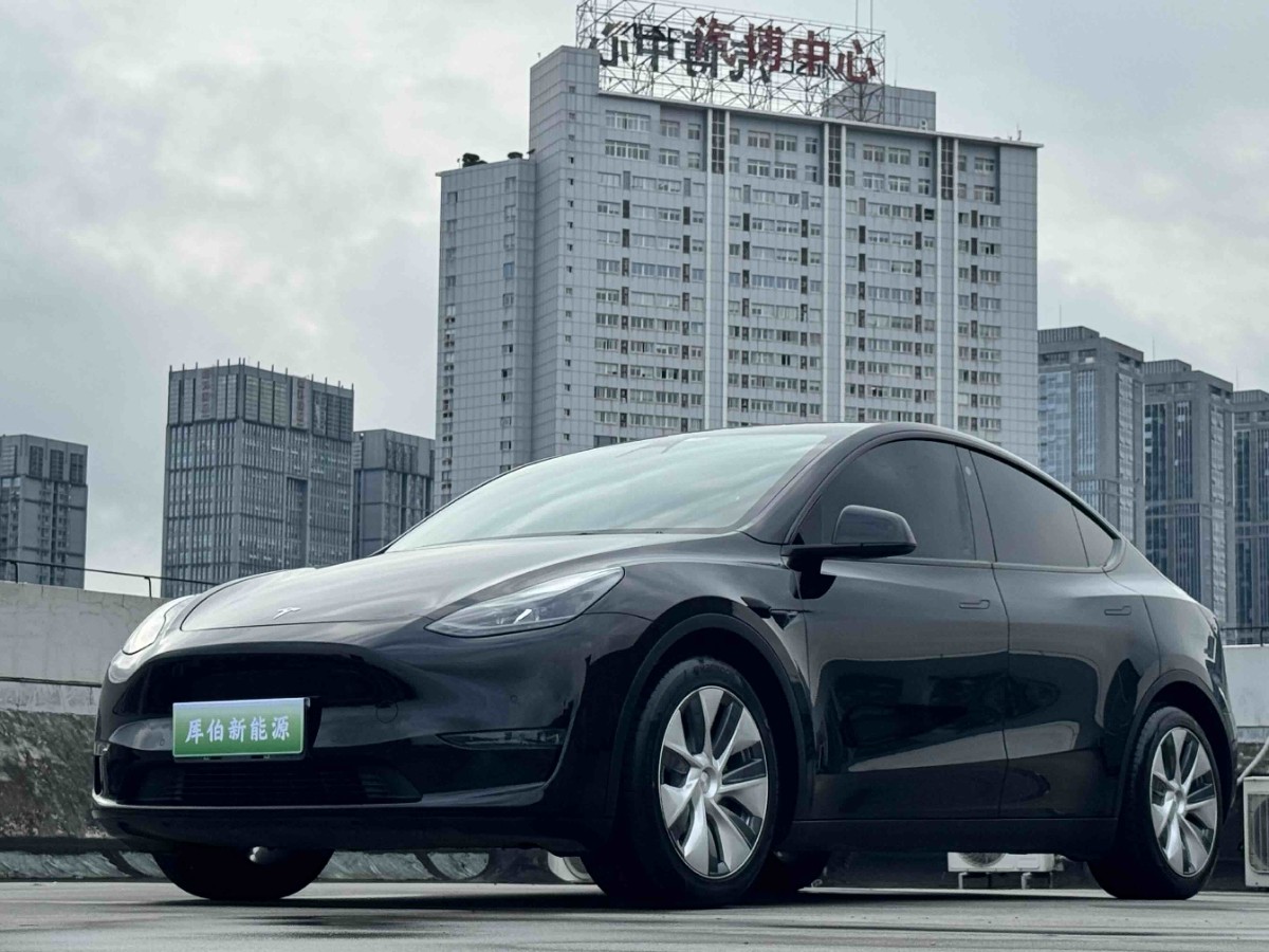 Tesla Model Y 2021 Tesla Model Y 2021 car image