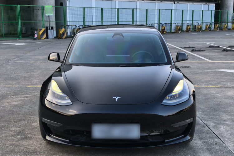 Tesla Model 3 2021 #3 Tesla Model 3 2021 immagine di auto #3