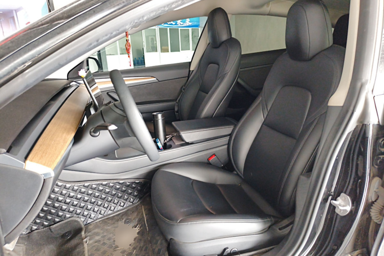 Tesla Model 3 2021 car image #19