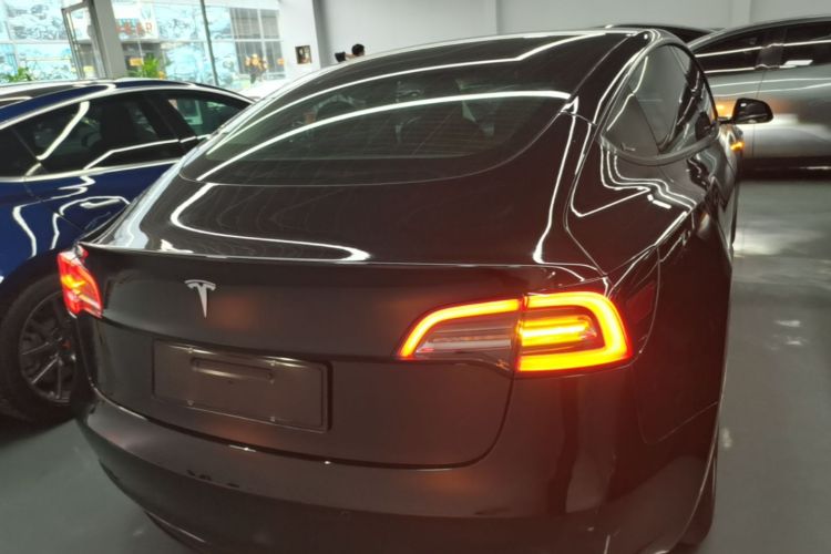 Tesla Model 3 2021 #6 Tesla Model 3 2021 car image #6