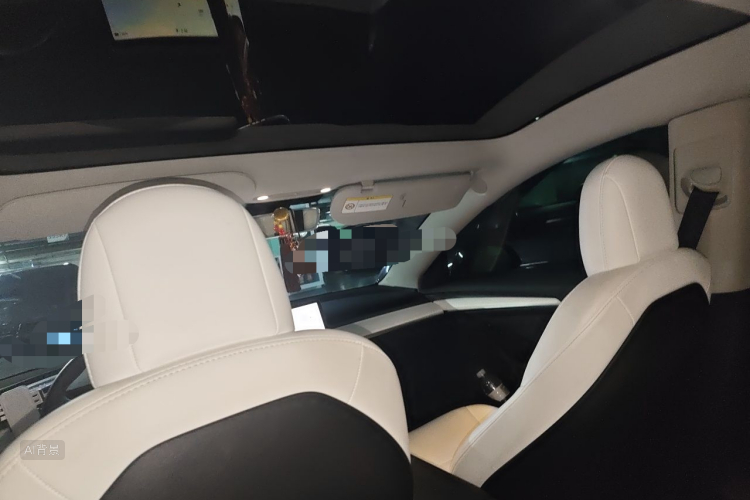 Tesla Model 3 2022 #20 Tesla Model 3 2022 image de voiture #20