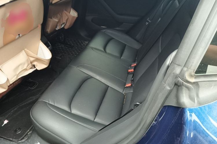 Tesla Model 3 2020 #17 Tesla Model 3 2020 car image #17