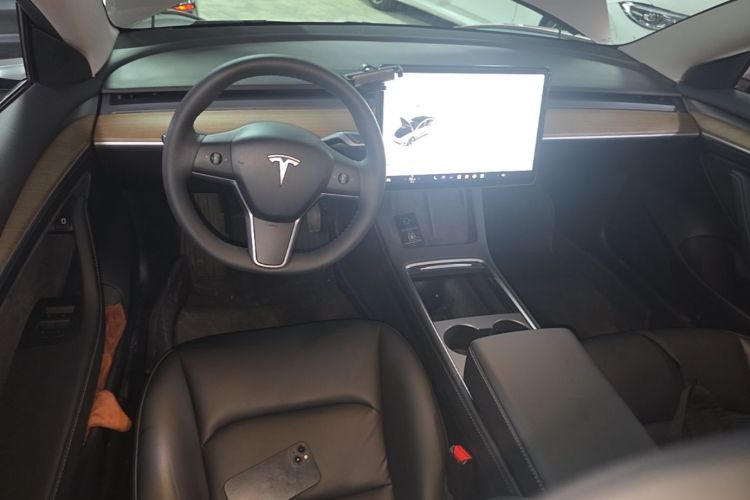 Tesla Model 3 2021 car image #10