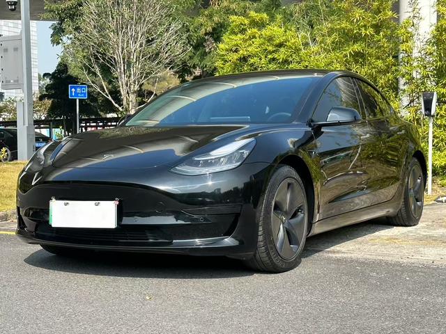 Tesla Model 3 2021 car image #11