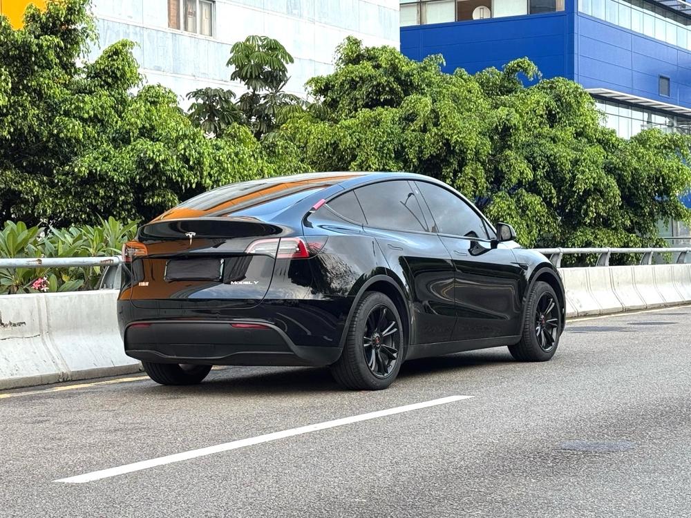 Tesla Model Y 2023 #7 Tesla Model Y 2023 car image #7