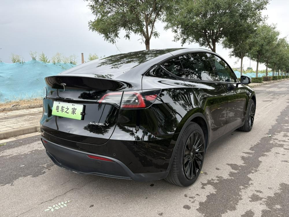 Tesla Model Y 2024 car image #7