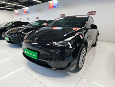 Tesla Model Y 2022 car image 