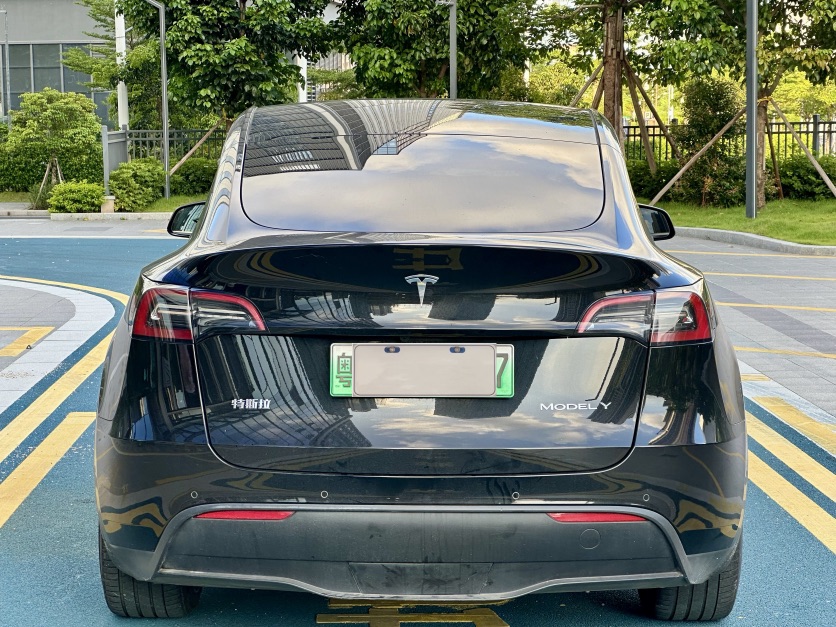 Tesla Model Y 2021 #9 Tesla Model Y 2021 car image #9