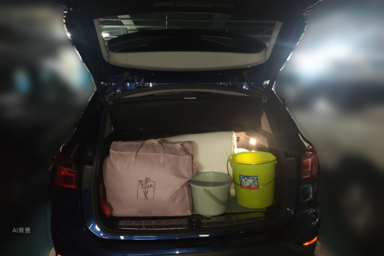 BMW X1 2019 car image #21