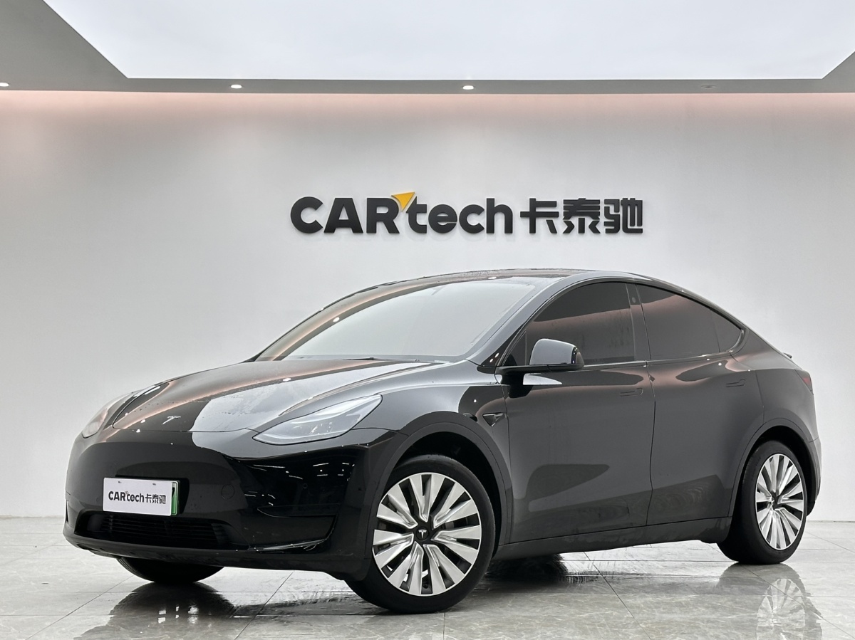 Tesla Model Y 2024 Tesla Model Y 2024 car image