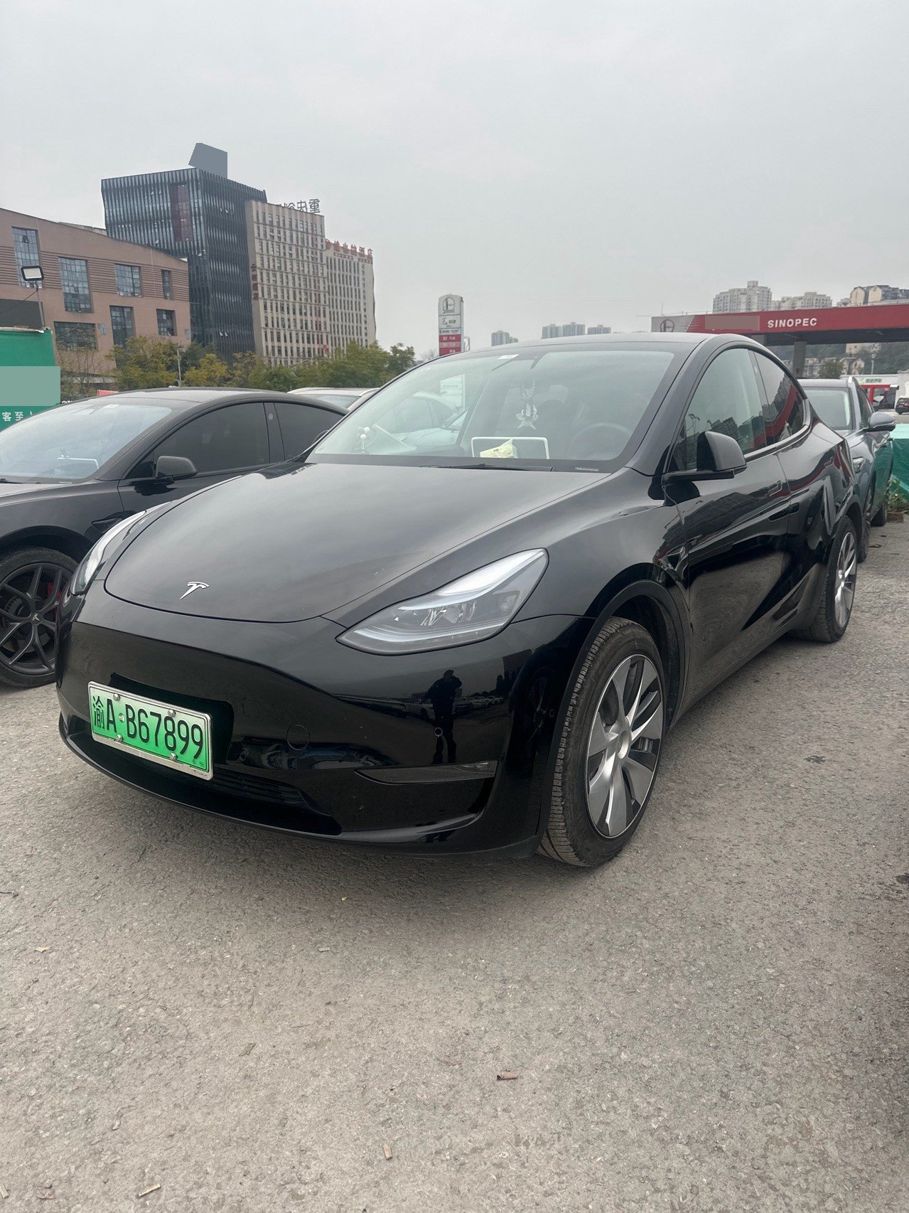 Tesla Model Y 2022 Tesla Model Y 2022 car image