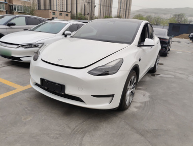 Tesla Model Y 2021 car image 