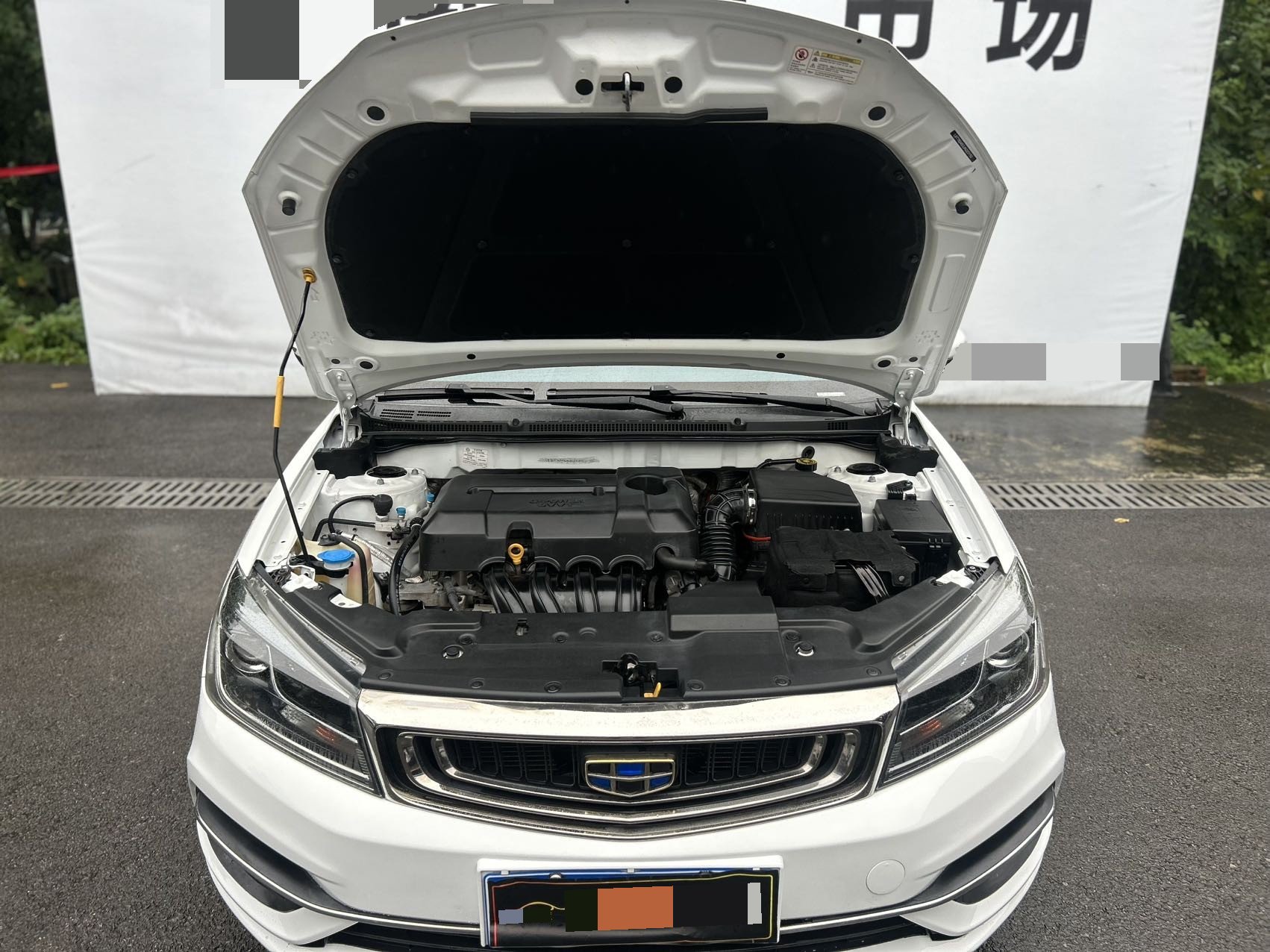 GEELY Emgrand 2018 car image #8