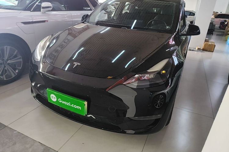 Tesla Model Y 2021 car image #2