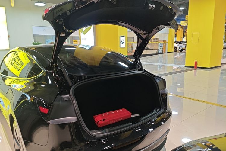 Tesla Model 3 2025 #19 Tesla Model 3 2025 immagine di auto #19