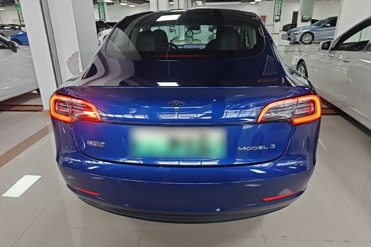 Tesla Model 3 2020 car image #6