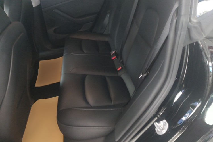 Tesla Model 3 2023 car image #17
