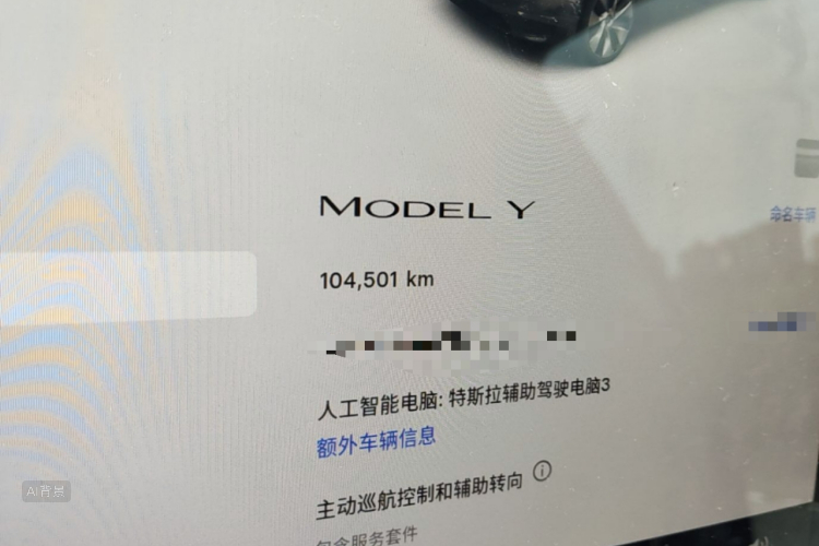 Tesla Model Y 2023 car image #14