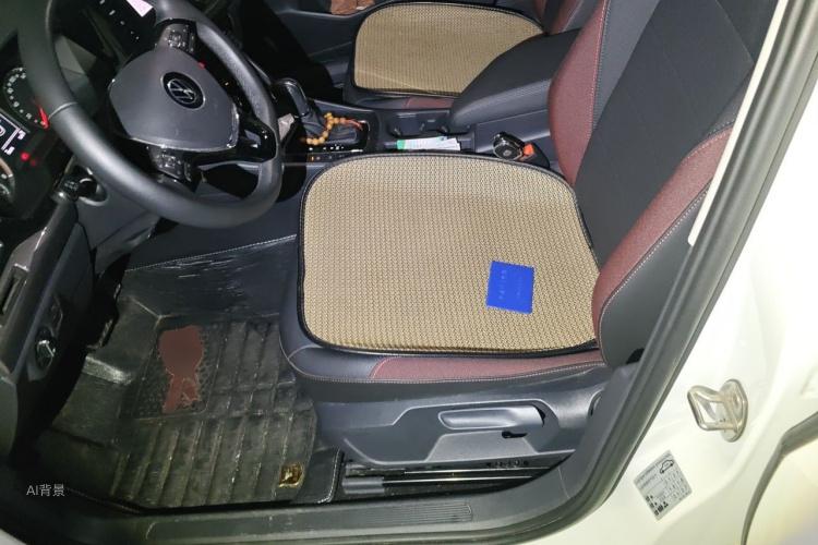 Volkswagen Bora 2021 car image #17