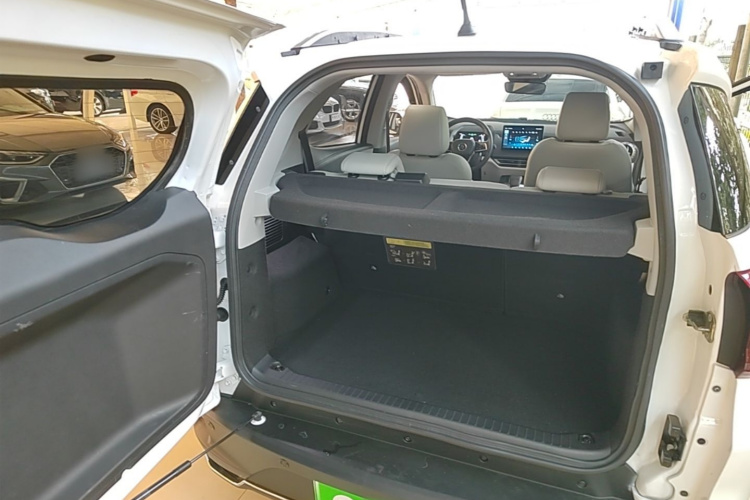 BYD Yuan Pro 2021 car image #19