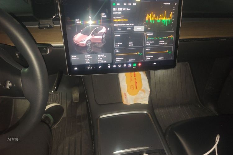 Tesla Model Y 2022 #15 Tesla Model Y 2022 car image #15