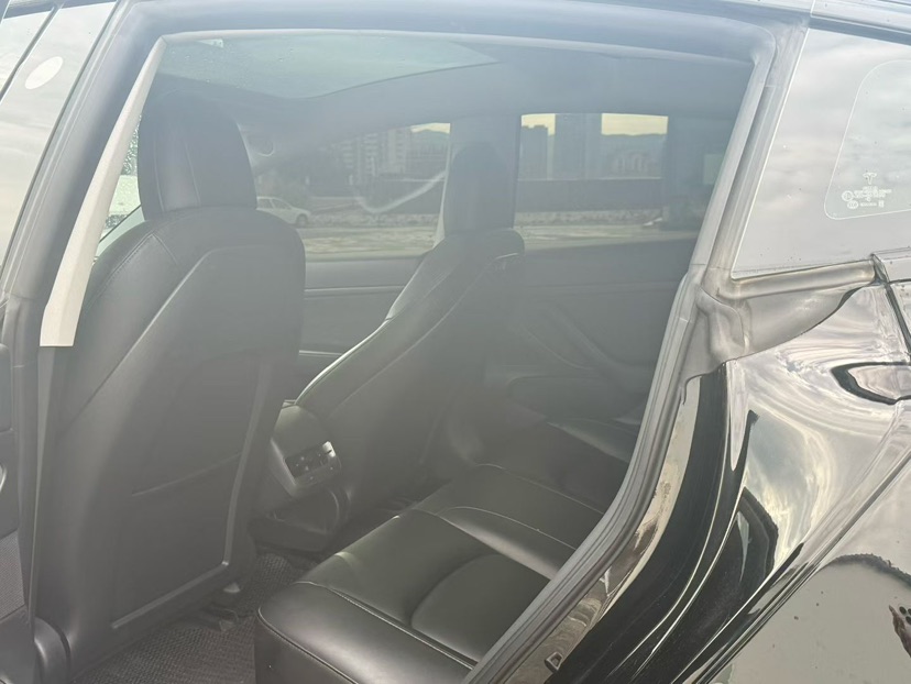 Tesla Model 3 2020 car image #6