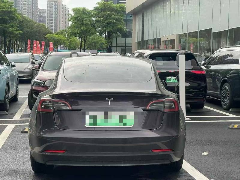 Tesla Model 3 2022 car image #8