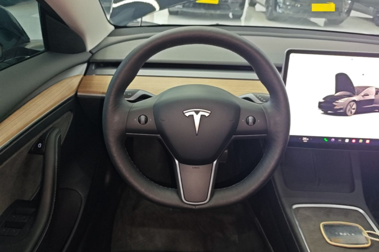 Tesla Model 3 2022 car image #11