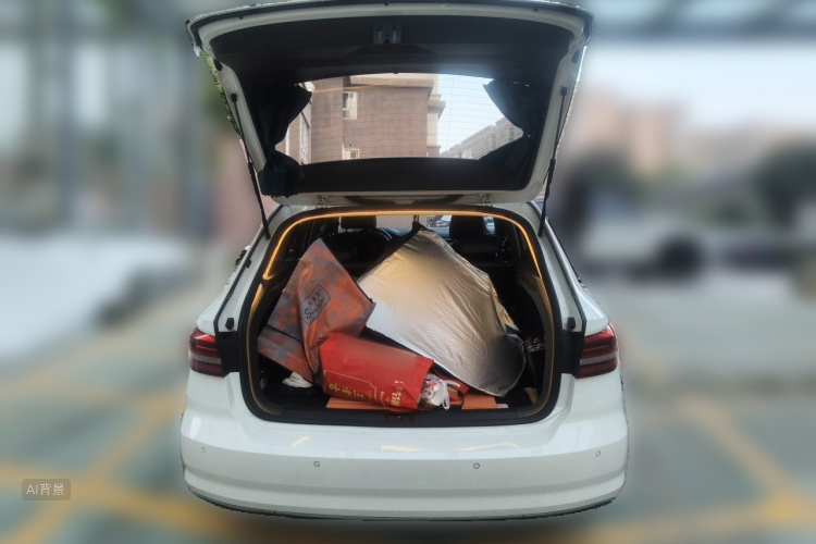 Volkswagen Lavida 2019 car image #21
