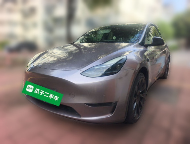 Tesla Model Y 2021 Tesla Model Y 2021 car image