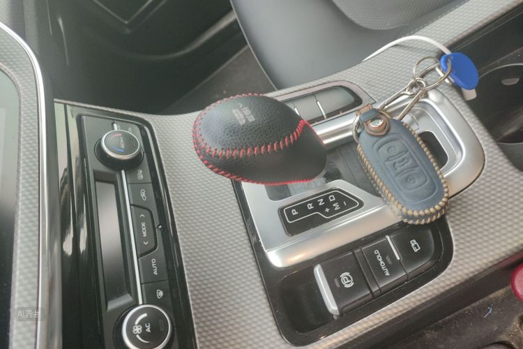 GEELY Emgrand GS 2019 imagen de coche #16