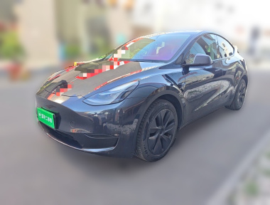 Tesla Model Y 2024 immagine di auto 