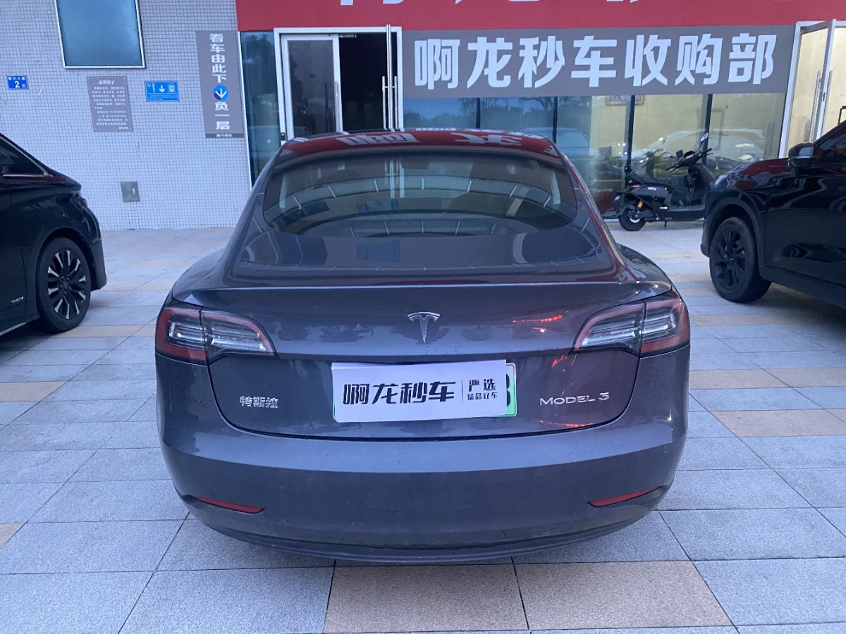 Tesla Model 3 2020 #8 Tesla Model 3 2020 car image #8