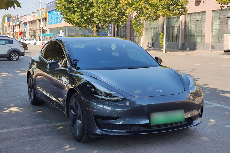 Tesla Model 3 2020 car image #4