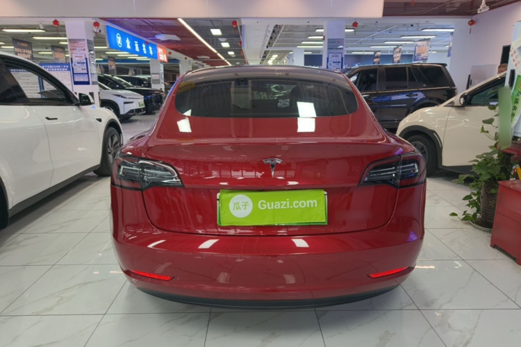 Tesla Model 3 2020 car image #6