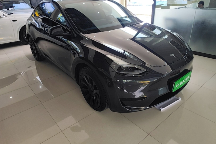 Tesla Model Y 2024 car image #4