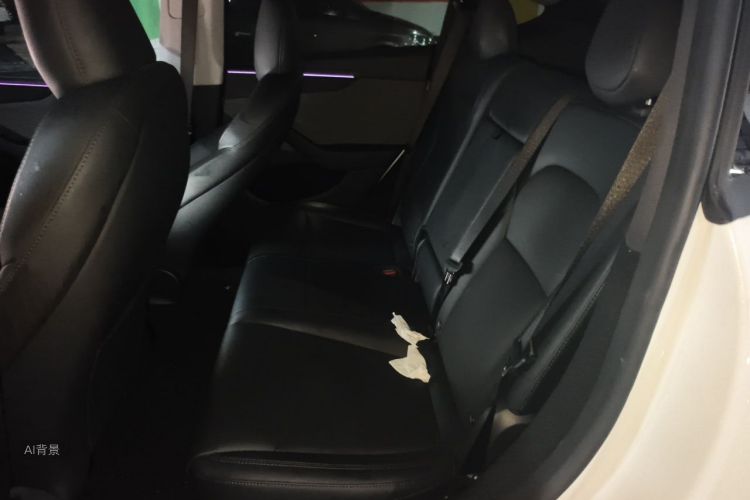 Tesla Model Y 2025 car image #19
