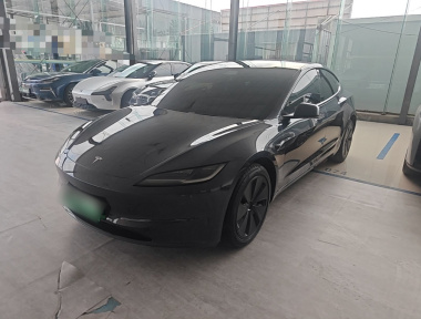 Tesla Model 3 2025 Tesla Model 3 2025 car image