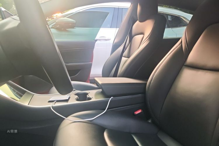 Tesla Model 3 2020 #17 Tesla Model 3 2020 صورة سيارة #17