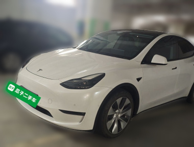 Tesla Model Y 2021 Tesla Model Y 2021 immagine di auto