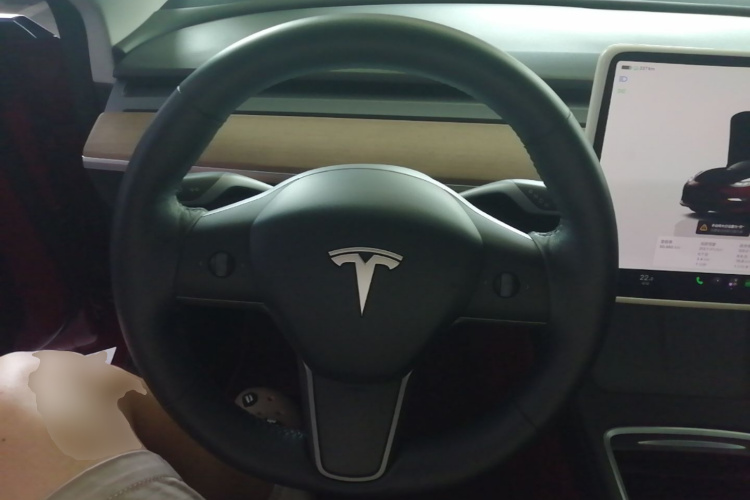 Tesla Model 3 2022 car image #11